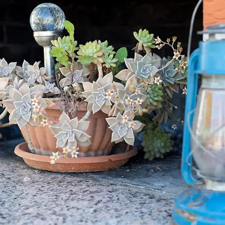 Gorana * 斯普利特