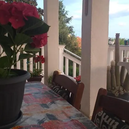 Gorana * 斯普利特